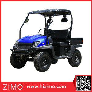 2017 EEC Approved 4kw Cheap China Electric UTV