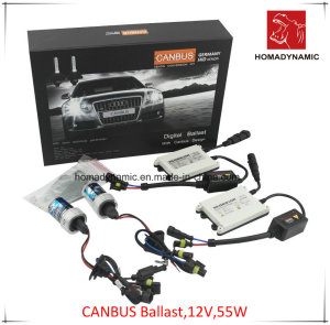 12V 55W Canbus Ballast HID Xenon Kit with 2 Years Warranty, Quality HID Kit